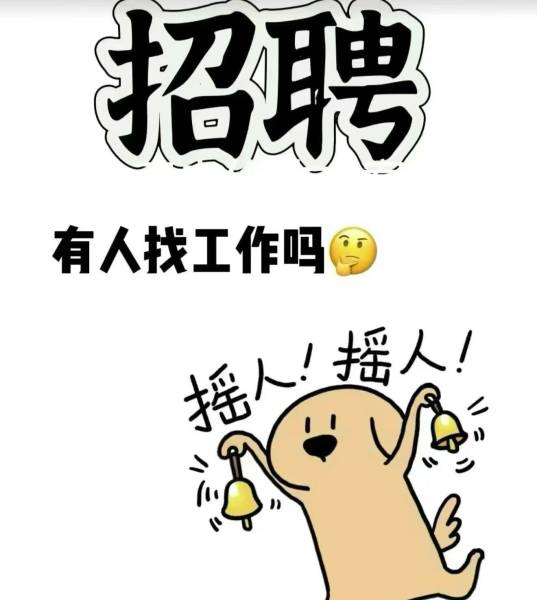 开州人就上开州网